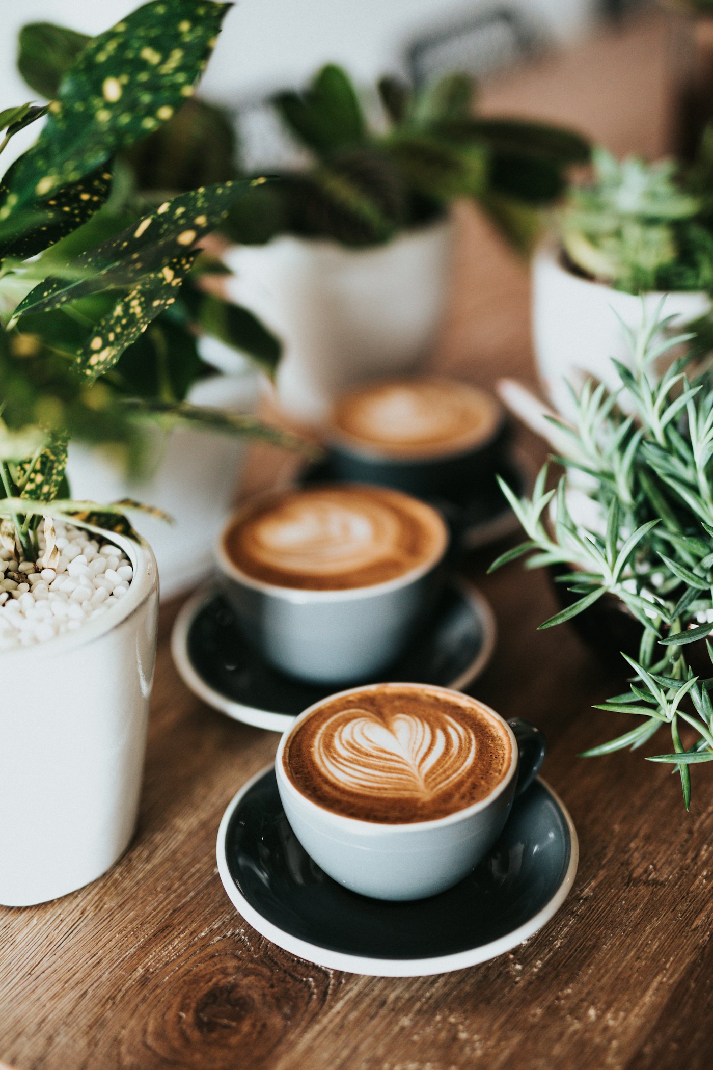 Cappuccini con decorazione a cuore